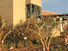 Disaster Site